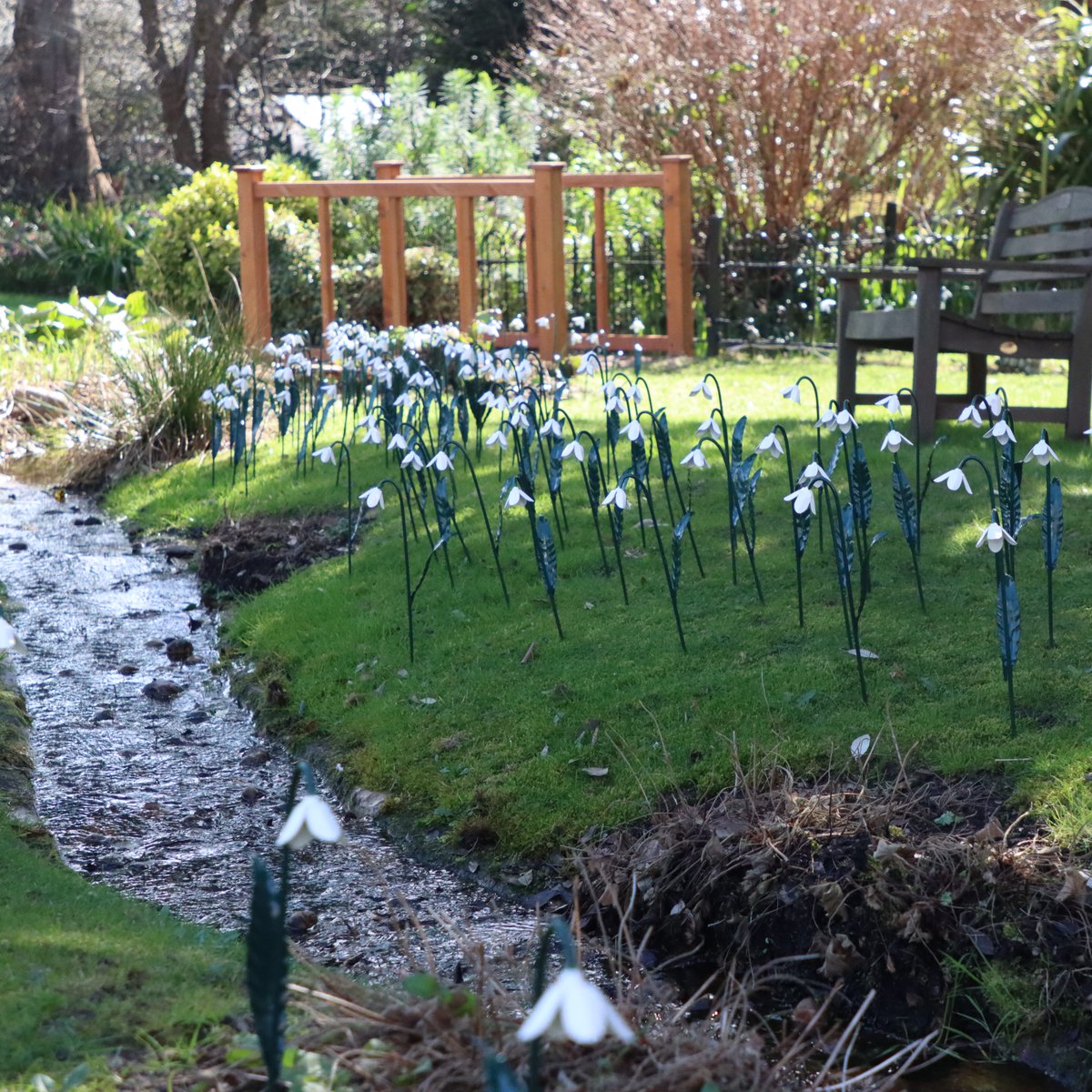 StChrisHospice's tweet photo. Today is our final Snowdrop installation day at Sydenham and we’ll reopen on Thursday in our hospice garden in Orpington 🍃 🌷 🌳 

It really is a stunning display, not to be missed 💜 

https://t.co/CovT8ul6GA https://t.co/JvFWkRLqIH
