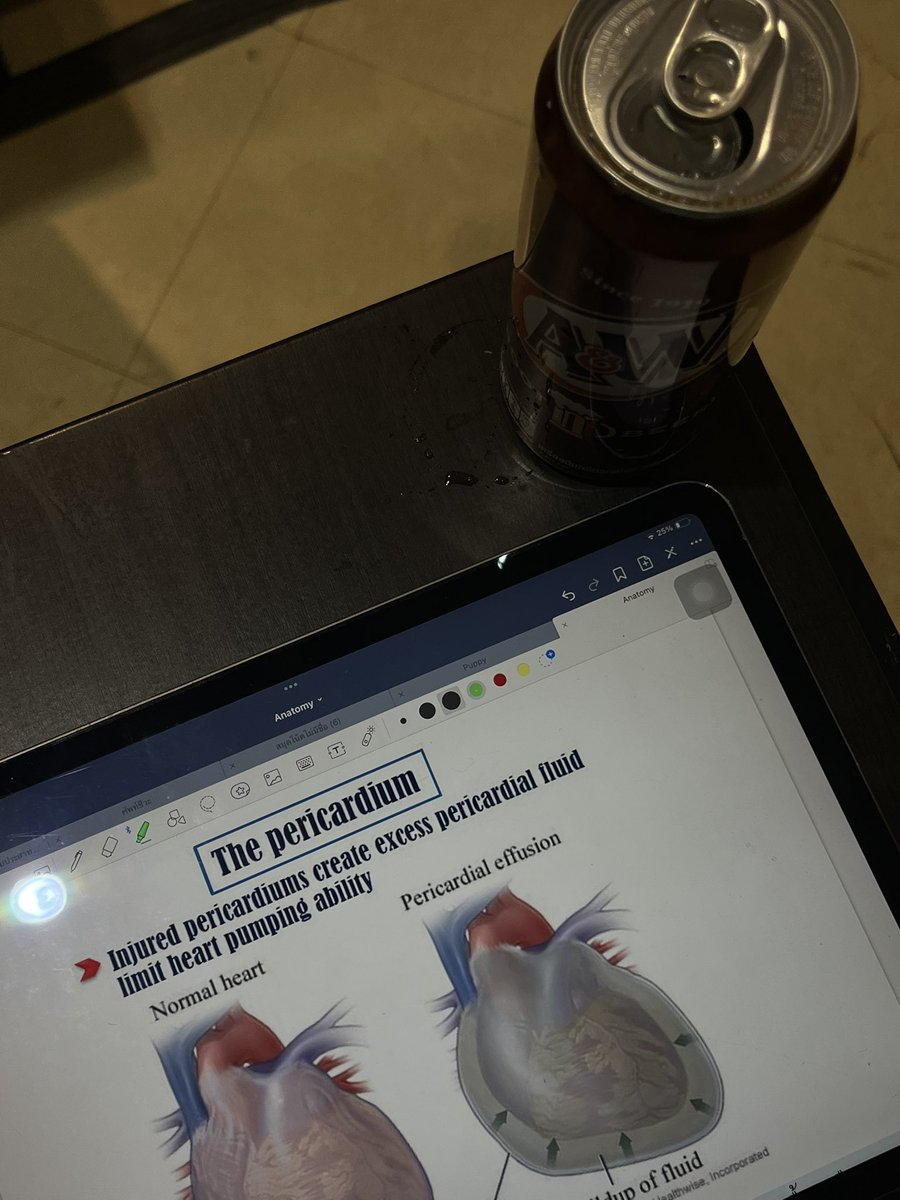 Cho (@tossxarch) on Twitter photo 