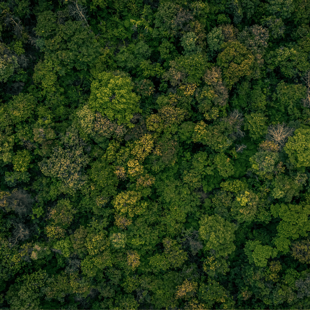 Printwaste | Recycling & Confidential Shredding tweet media