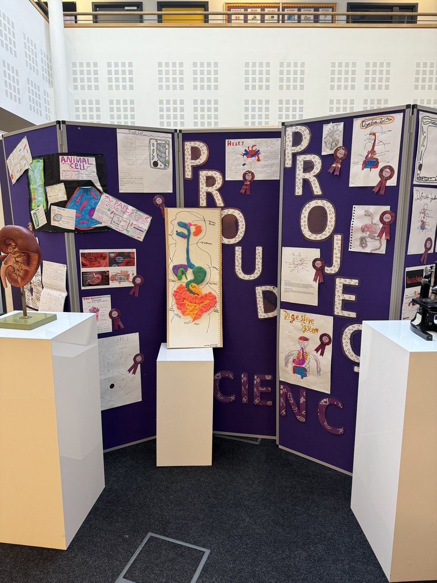 OACaScience's tweet photo. 🔬 Get ready to be amazed! The Science Department is thrilled to unveil the Year 7, 8, and 9 Proud Projects 2024! 🌟 From budding scientists to future innovators, these projects showcase the brilliance of our young minds. #proudprojects #itswhoiam @OutwoodScience @OACarlton https://t.co/7TQbdoisVk