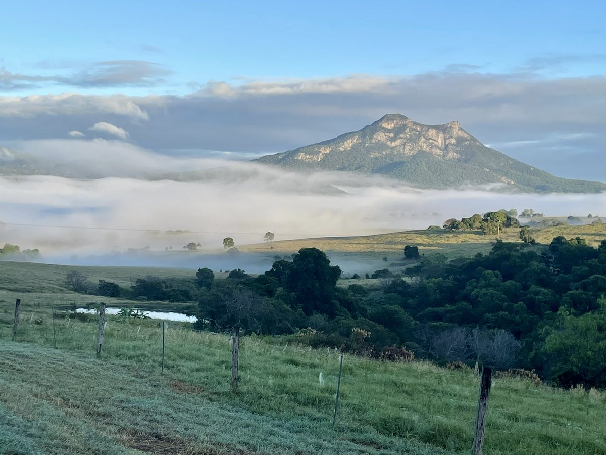 First of the cooler autumn mornings. #buenosdías