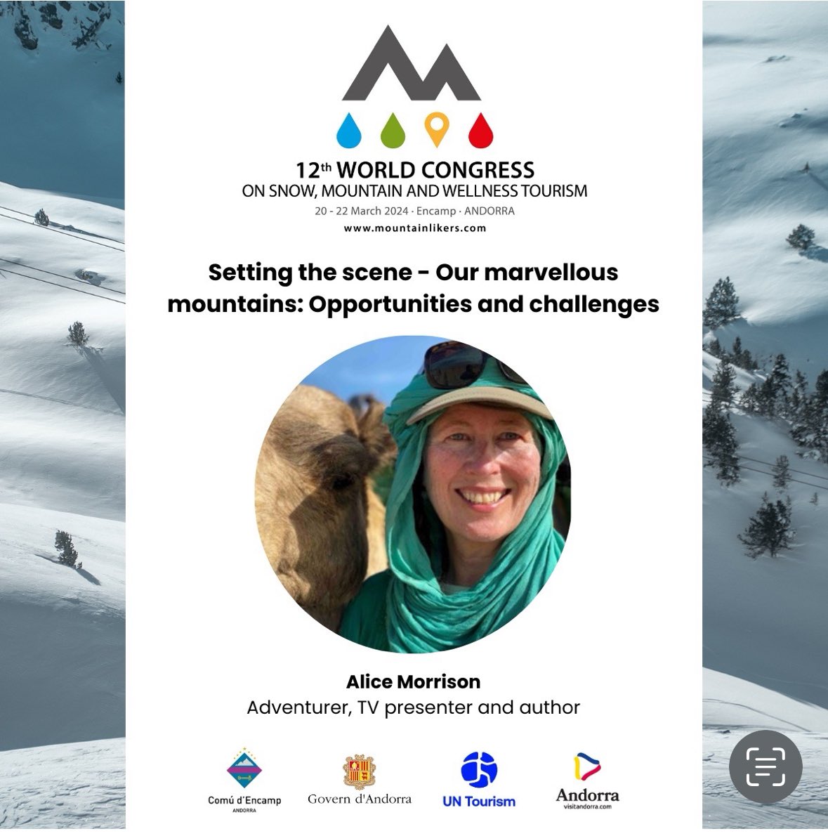 alice morrison tweet media