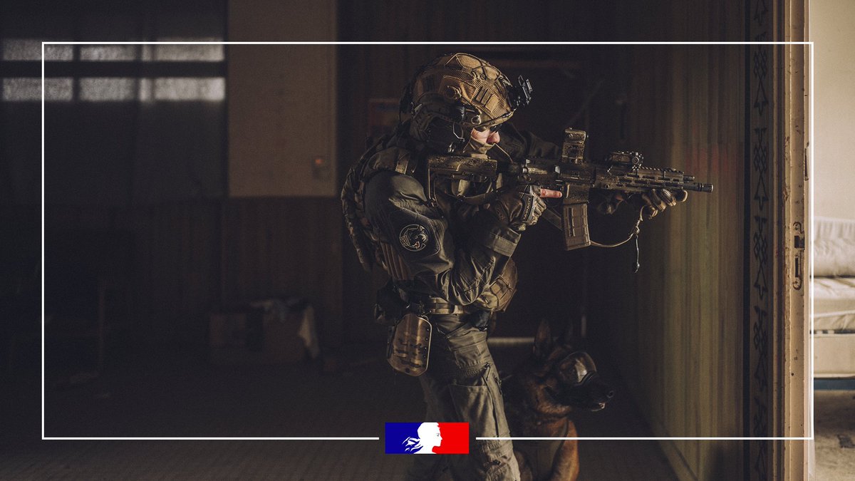 🎙️Pour ce nouvel épisode du #Defcast, nous recevons un binôme un peu spécial : le sergent Aldo du commando parachutiste de l’air n°10, accompagné d’Onyx, un malinois de bientôt six ans. Ce maître-chien revient notamment sur son parcours pour intégrer cette unité des forces…