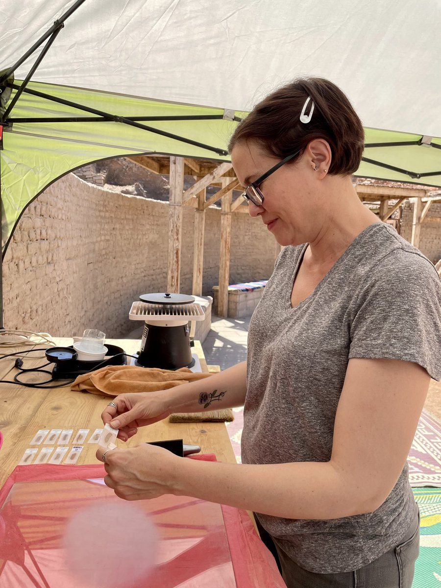 Dr Natasha Ayers tweet media