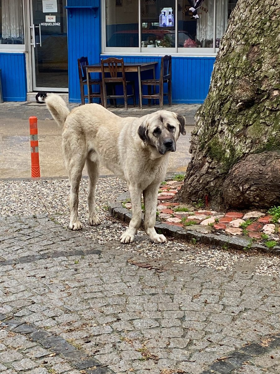 Oruçken slayt okuyan hocaya karşı attığım bakış