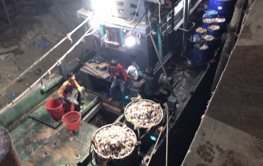 NKFISHMEAL's tweet photo. March 15,2024 https://t.co/EZXtUxW6JG