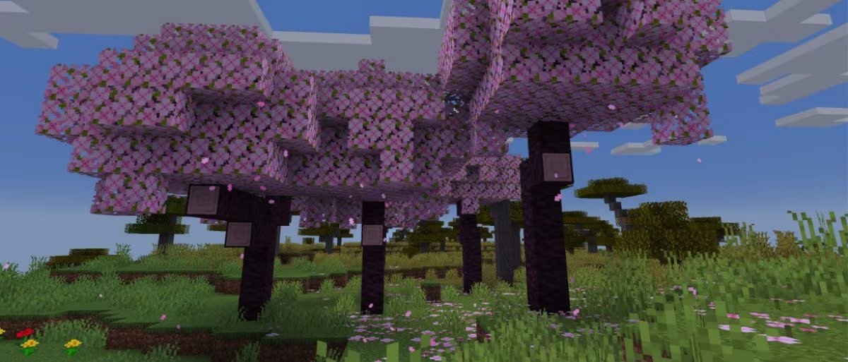minecraftjapan's tweet photo. 少しずつ暖かくなり
春らしくなってきましたね😌

2023年6月にマインクラフトに
追加されたサクラですが、
実は10年も前から計画し
実装に取り組んでいました😲🌸

マインクラフトにある他の木とは違い
サクラの木はピンクの花びらがひらりと舞い
地面に咲くピンクの花も相まって
これほど美しくうっとりする場所はないですよね🤤

マインクラフトでも
ぜひお花見をお楽しみください☀️