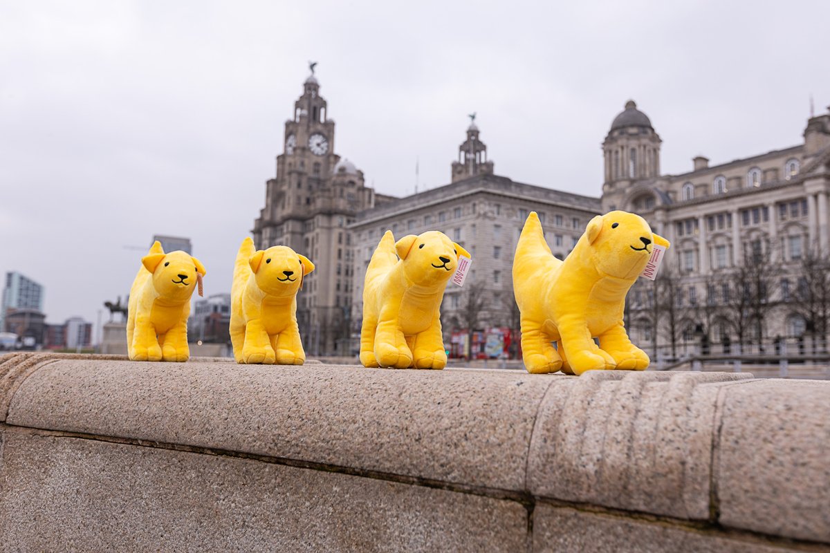 Spring has begun and we know that means lambs...but do you know it's also Super Lambanana season? 🍌 You can now get your hands on our brand new plushie Super Lambananas, which have been springing out of our online shop in flocks. shop.liverpoolmuseums.org.uk 📸 Robin Clewley