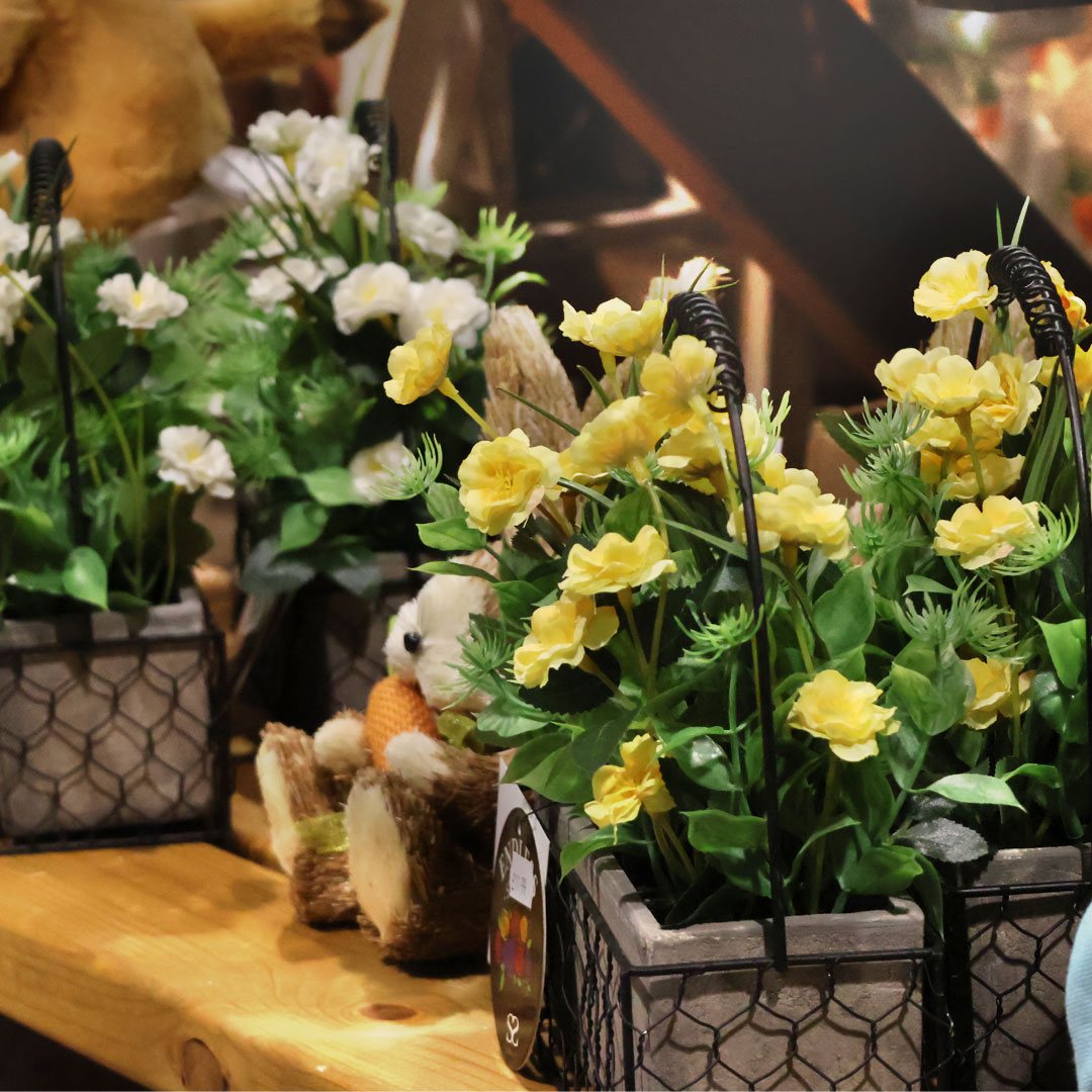 whitakersinfo's tweet image. Don't miss out on getting your Easter decorations early this year! From cozy accents to vibrant spring flowers, we've got everything you need to deck out your space. 🪴

Create unforgettable Easter memories with Whitakers Garden Centre! 🐰🐣

#easter #easterdecorations #bunny