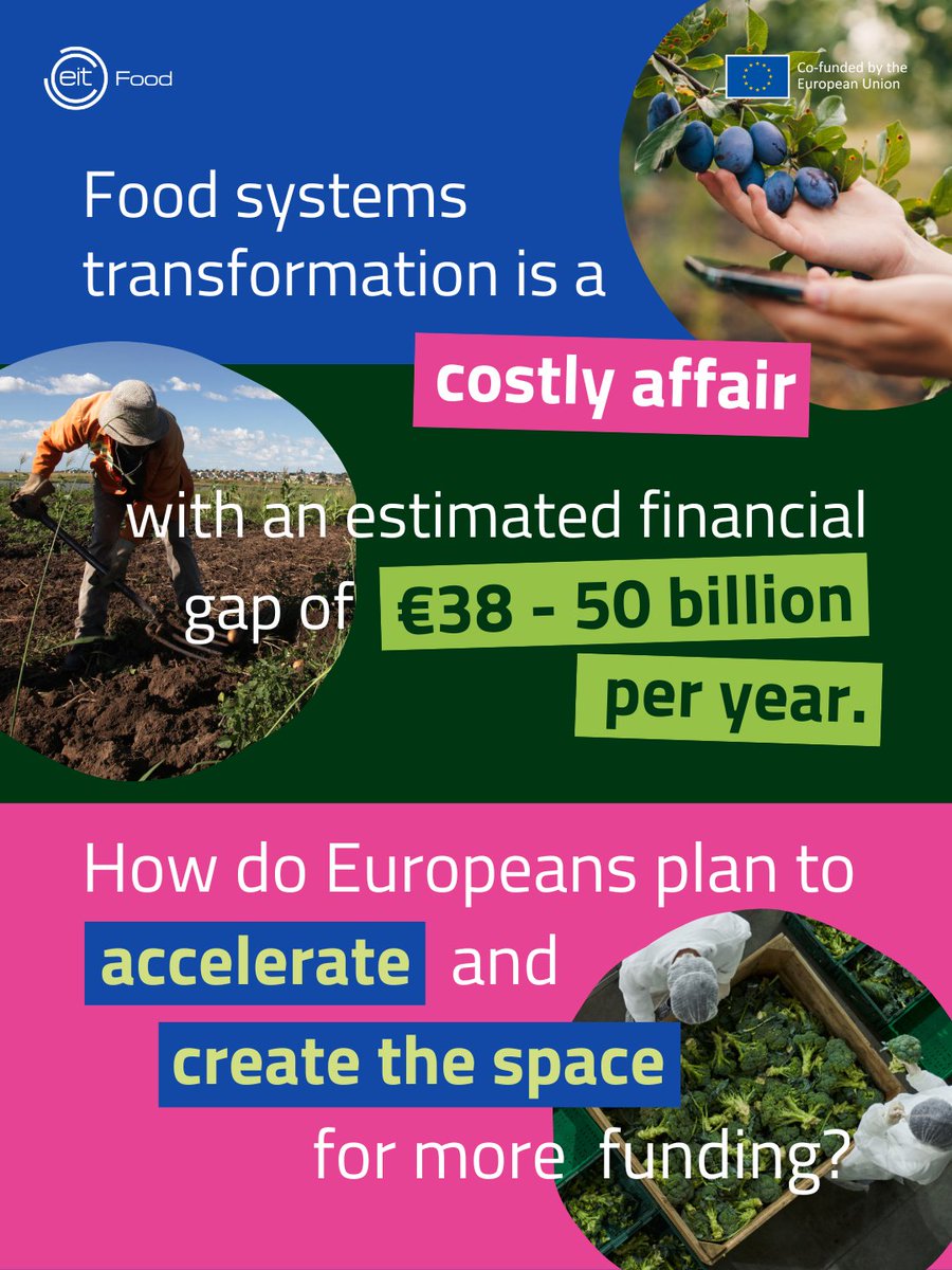 #EU2024BE's #OpenFoodConference ignited crucial ideas about reshaping our #FoodSystems.💡 Addressing scale, private investment, cross-value chain collaboration & innovative practices are key to funding this shift towards #FoodSystemTransformation👉 tinyurl.com/4k4ze8vw