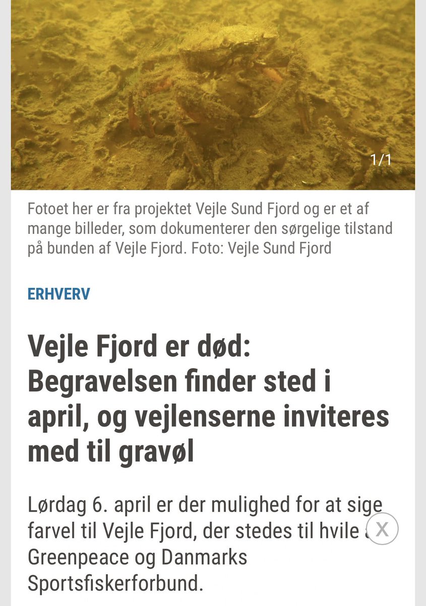 Nils Brøgger tweet media