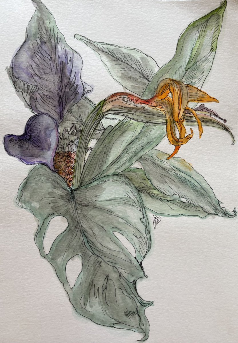 Sarah Berger💙 tweet media