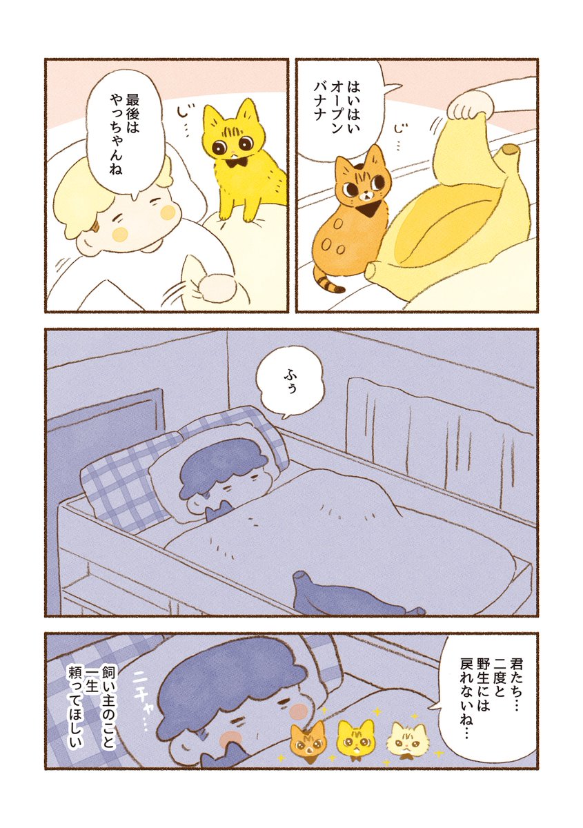 (2/2) 