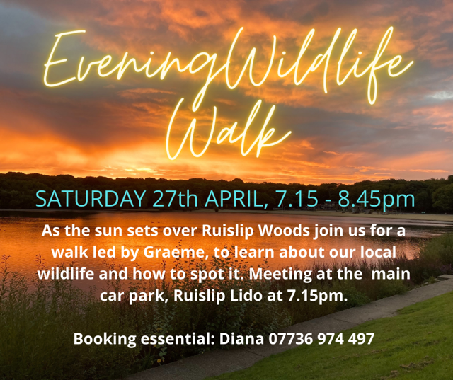 Would you like to go on an evening wildlife walk organised by @Hillingdon in #Ruislip Woods at 7:15pm on Saturday 27th April? More details here... #RuislipLido #GetOutside #FreshAir #GoodCompany #exercise @Hill_libraries @Ramblers_London