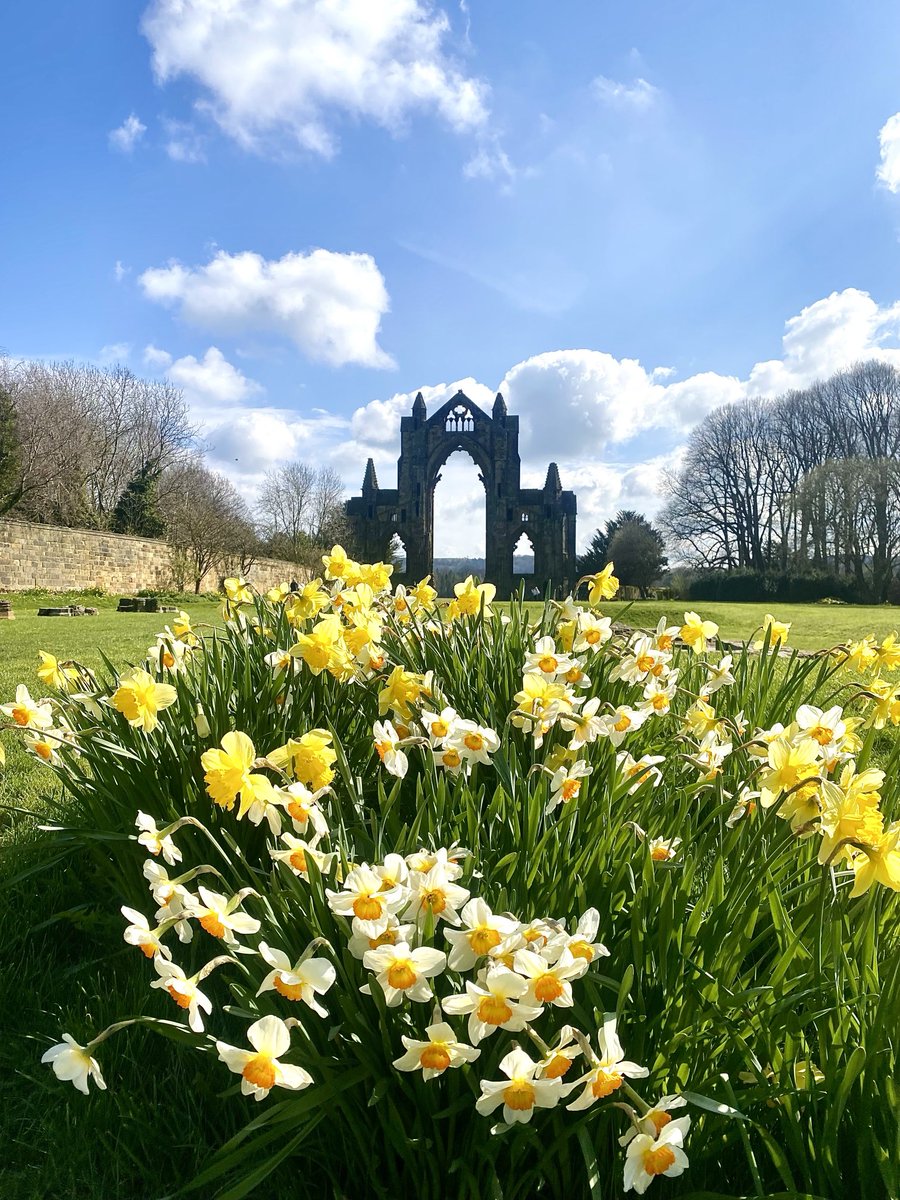 Wishing you a terrific Tuesday from Guisborough Priory, North Yorkshire 😊