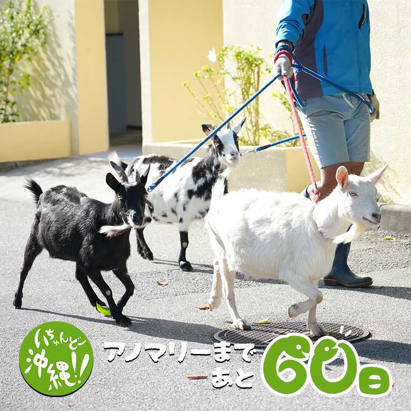 Enlightened_PR_'s tweet image. #Ingress の世界大会 #XMAnomaly まで2ヶ月を切りました。 沖縄入りのチケット、宿の手配は済みましたか？    
広報サイトにはチームの登録方法が掲載されています。
登録することでより現地でのゲームが楽しめちゃう！🐐  
陣営チーム参加はこちら 
sites.google.com/view/bm-naha-e…  
 #沖縄 #BuriedMemories