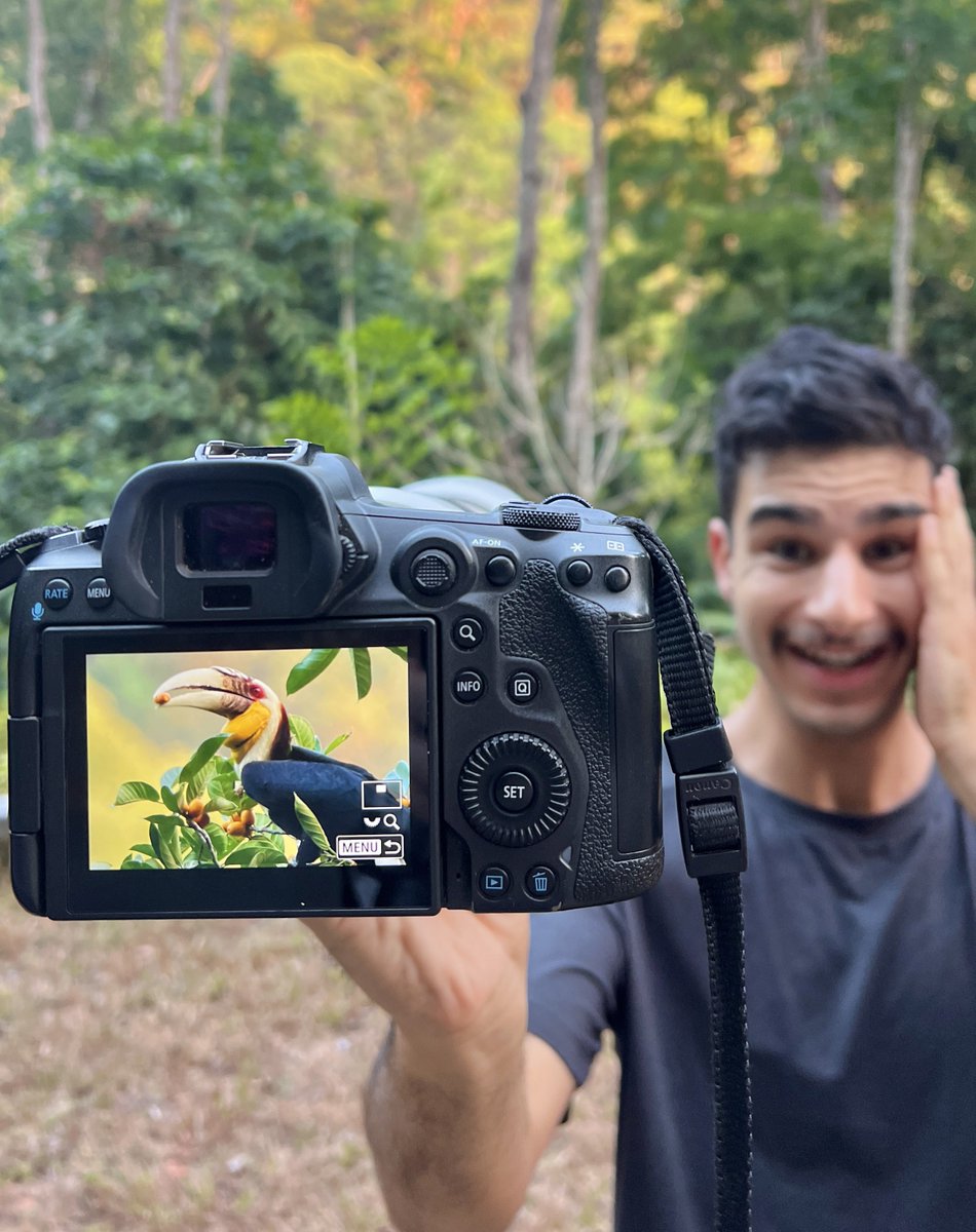 WHAT A MOMENT!! 😭🥰 I can not express how emotional I was seeing and photographing a magical Wreathed Hornbill in the rainforest yesterday!! 🌳 An absolute SUPERSTAR of the forest, these enormous birds feed in the fruiting trees of the canopy! 🍊 Almost dinosaur like, they…