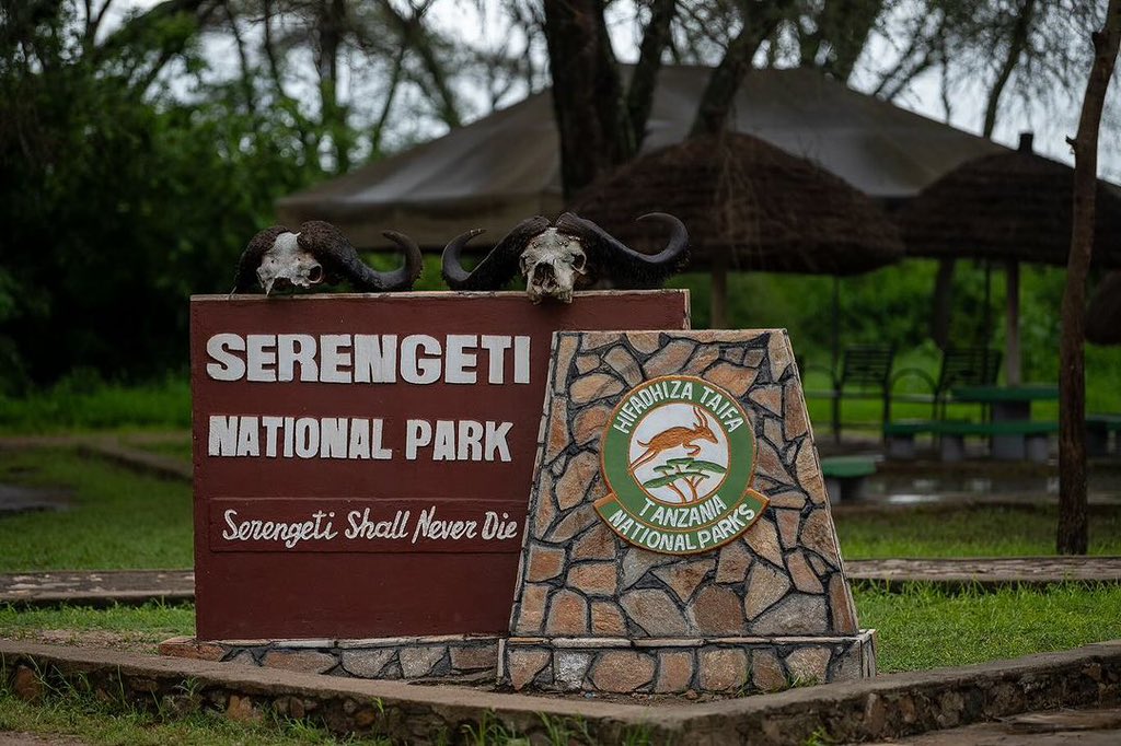 ⚡️Experiencing the Serengeti in Tanzania was an unforgettable journey! 🦁🌿