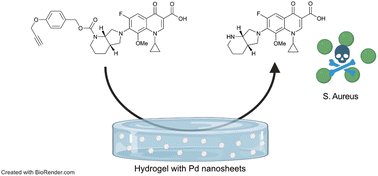 #PublicaciónCientífica 'A Pd-labile fluoroquinolone prodrug efficiently prevents biofilm formation on coated surfaces' pubmed.ncbi.nlm.nih.gov/38375536/ @TU_Muenchen @EdinCRC @CRUKScotland @ffarmaciaUGR @CanalUGR @ibsGRANADA M Carmen Ortega-Liebana