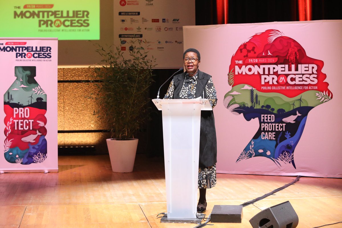 #MGD2024 Ouverture des Montpellier global days : 300 personnalités de rang mondial, experts de panels internationaux les plus connus sont à #Montpellier pour structurer un espace de réflexion et affirmer le rôle de la science face aux enjeux Nourrir, Soigner, Protéger <a href="/CGIAR/">CGIAR</a>