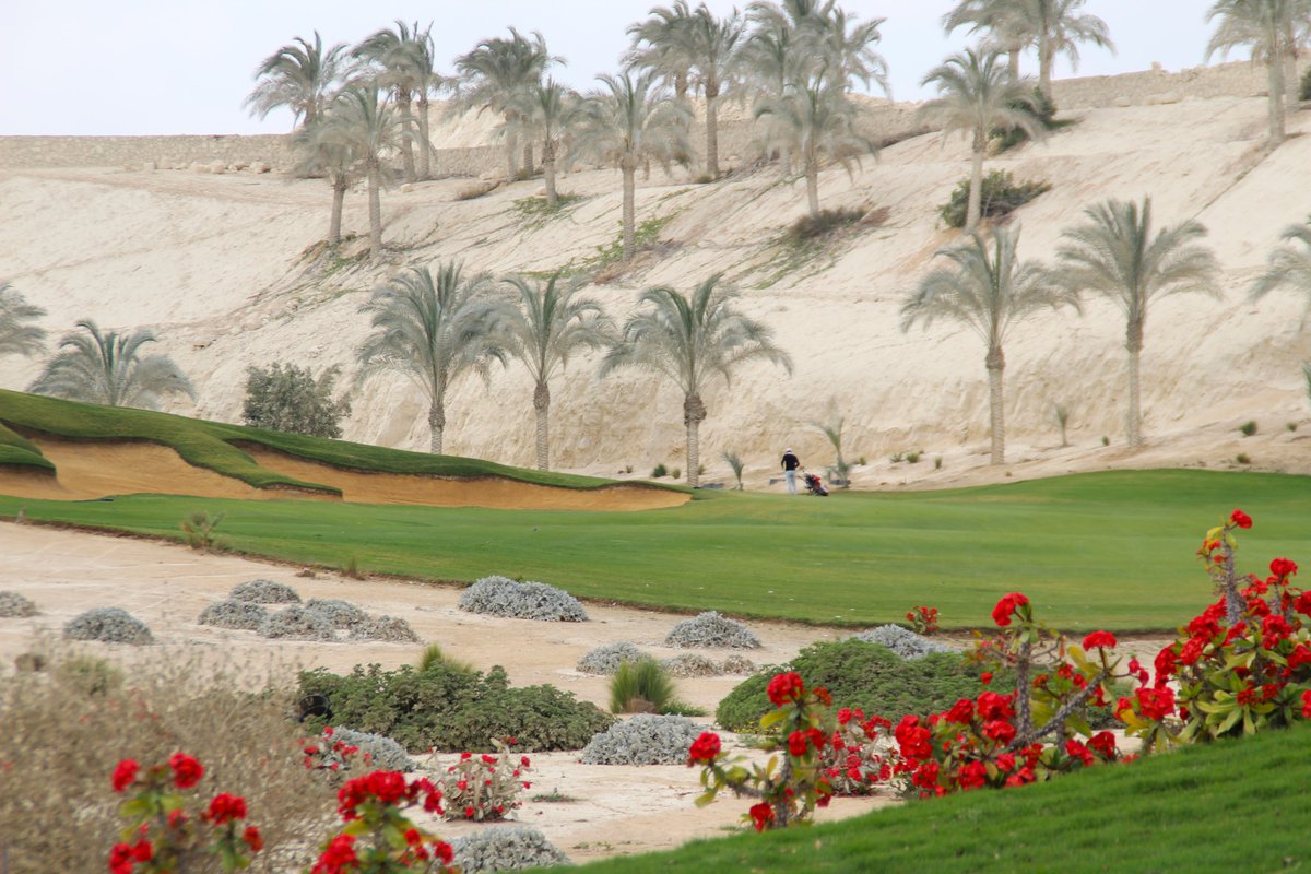 All players have completed their second round.
Now it's straight on to the final of the NewGiza Pyramids Challenge 2024. Who will take the title at the last event of the season outside Europe? 
Follow the results in the live scoring: tinyurl.com/4jpvs97f