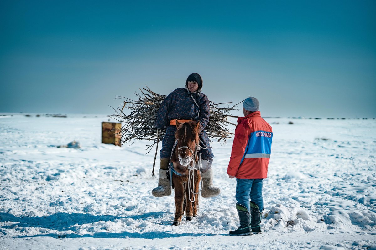 Mongolian herders have endured months of extreme cold, known as the 'dzud', that have already claimed the lives of about 4.7 million livestock animals, according to Mongolia’s EOC aje.io/0nvukg
