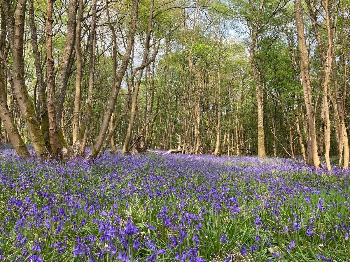 <a href="/GrahamSMSP/">Graham Simpson</a> <a href="/LabourRichard/">Richard Leonard</a> Thank you Graham for chairing the meeting. Fantastic turn out and support for this very special Greenbelt. Look forward to seeing more support at the Riverbank Community Hub on Wed night at 7pm.