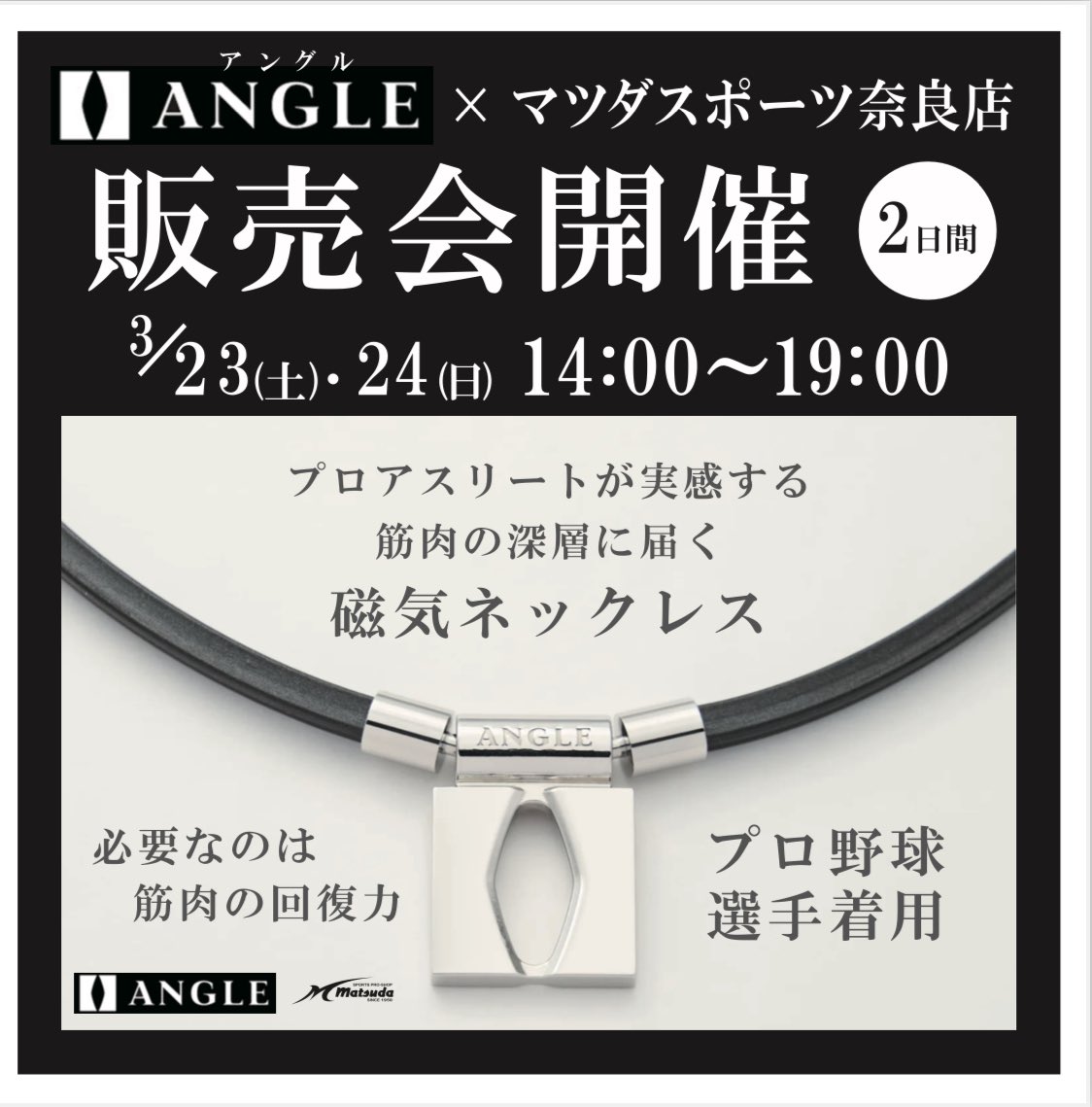 【さらにお値下げ】ANGLEネックレス アングル e.モデル 01 ネックレス プラチナ ブラック 【通常