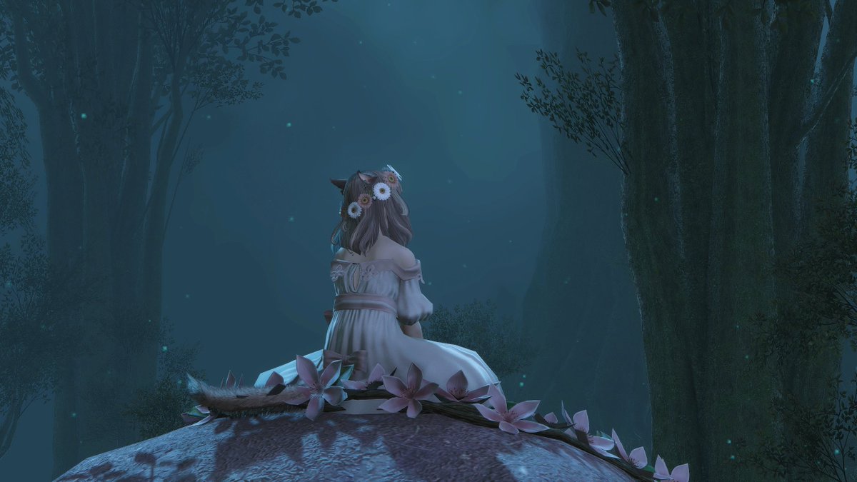 maple ♡ tweet media