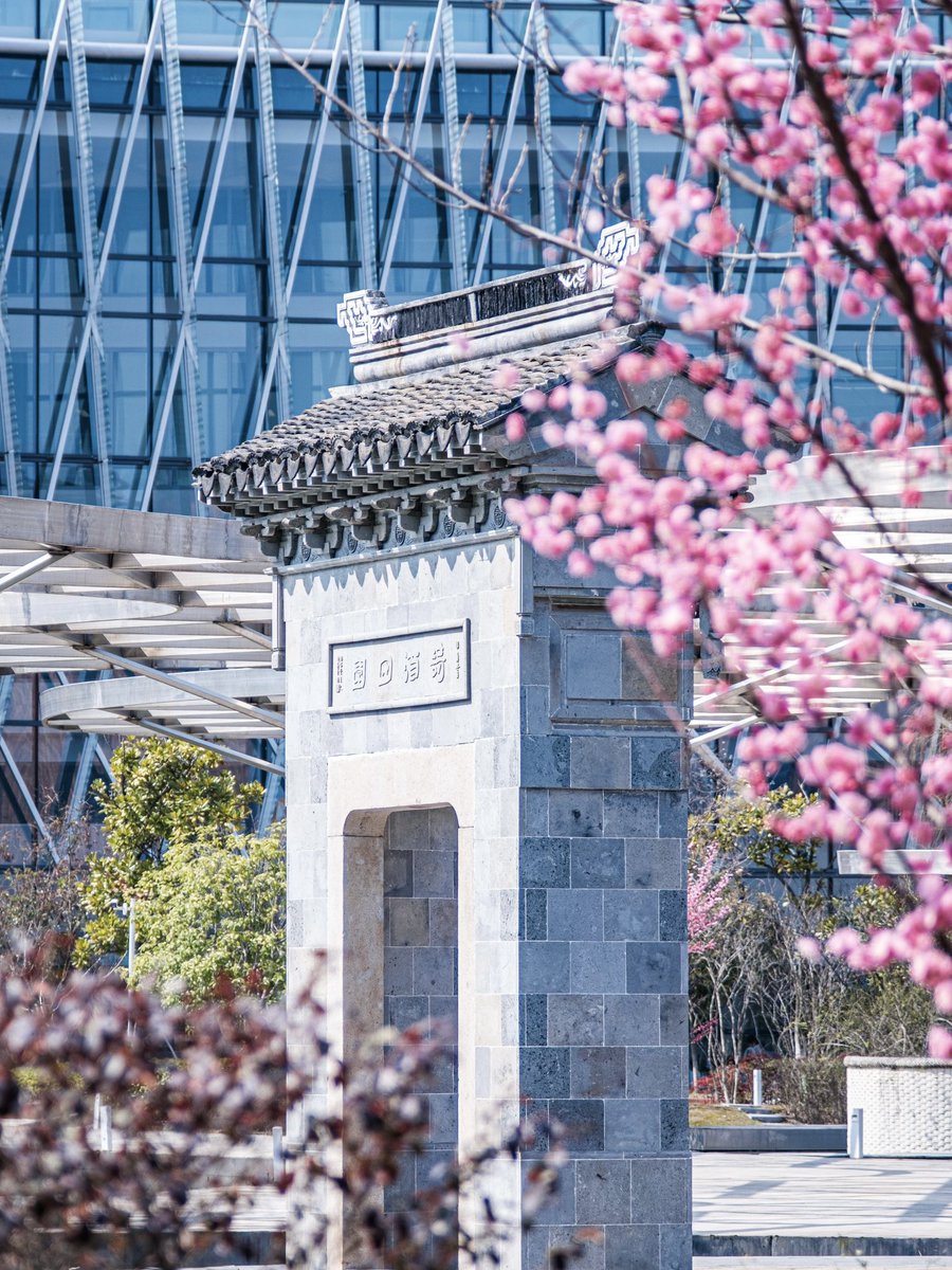 XJTLU's tweet photo. First day of spring!
Photo by Wenhao Ye
#springinsuzhou #suzhou #xjtlu #campus #China https://t.co/zqn9CavGM7