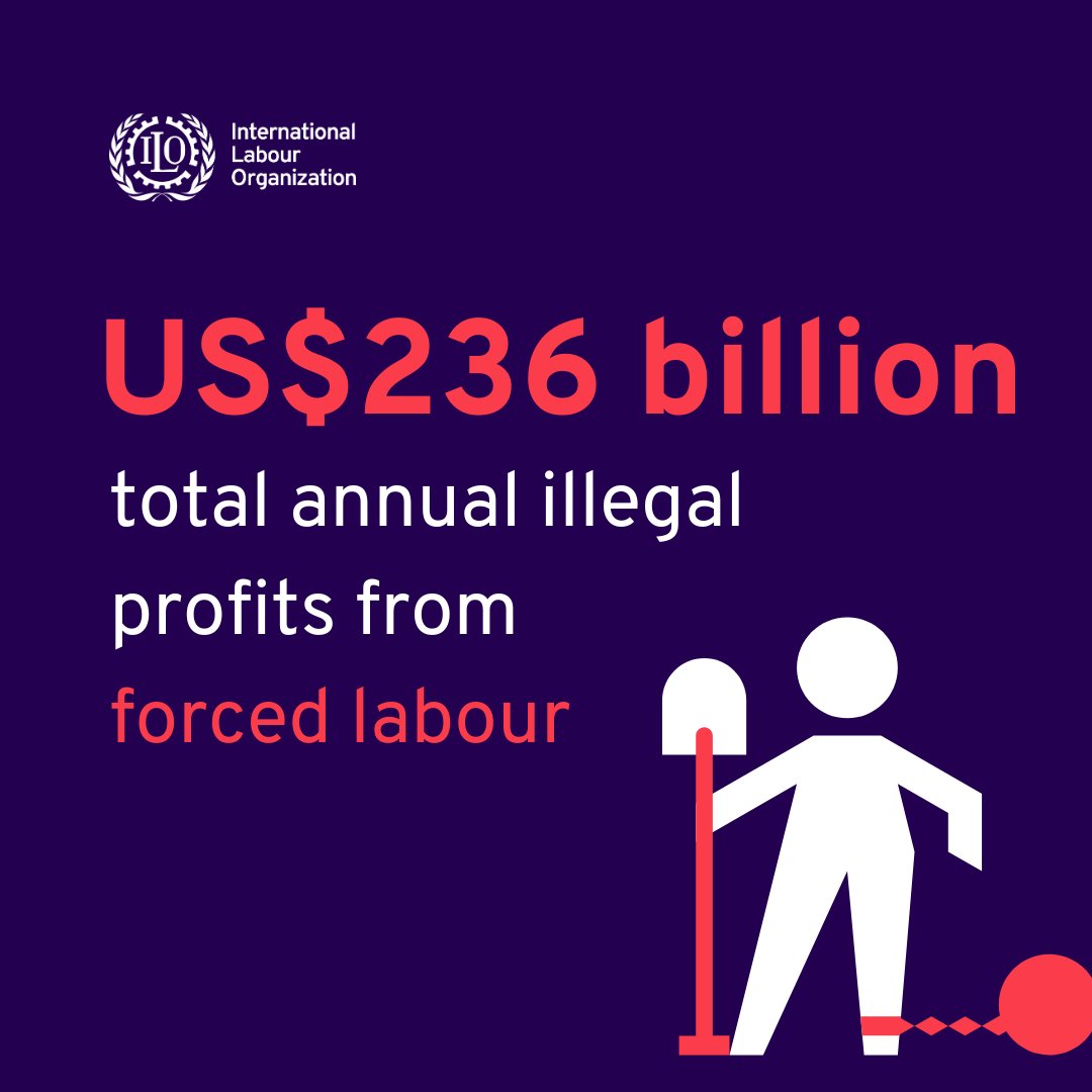 International Labour Organization tweet media