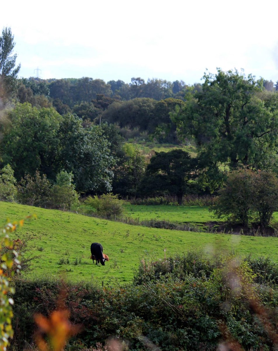 <a href="/LabourRichard/">Richard Leonard</a> Great words of support for this very special area of Greenbelt. It must be protected at all costs. There is another Public meeting on Wed 20th March at 7pm. Come and discuss the implications of this planning application and what we are at risk of loosing.