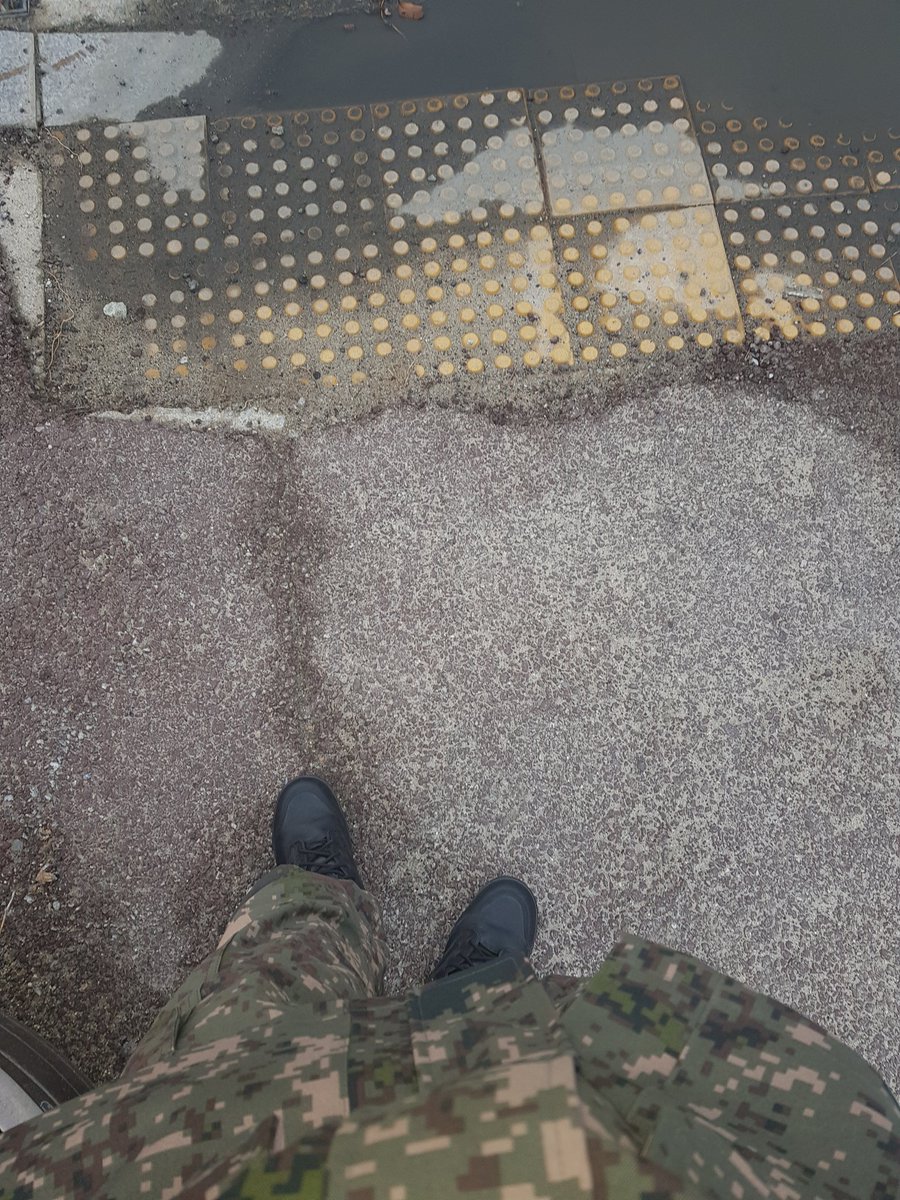 _Labae_'s tweet image. Cibal