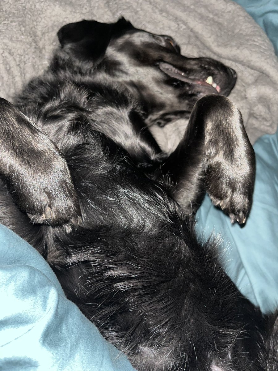 Tumbly scritches required