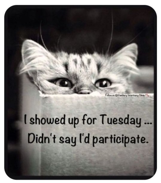 DianeBrumbaug18's tweet photo. Good morning friends! Hugs to you all! ❤️ https://t.co/uywFCw3RI7