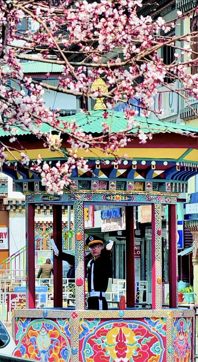 TashidelekN's tweet photo. #SpringBreakout #norzinlam #Thimphu 🇧🇹 #colorful #vibrantcolors #notrafficlights #trafficmancontrol #wearestillhuman https://t.co/5nmPjSGQoL