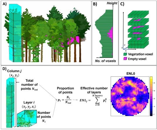 enrico_unigoe's tweet photo. How is species mixture affecting forest's arthropod communities ?
Combining #LiDAR &amp; insecticidal fogging, @bm_wildermuth &amp; @AlicePenanhoat identified canopy structure as a key driver of arthropod abundance and diversity beyond tree species identity
https://t.co/P66NC38doO https://t.co/w46G7Pho5J