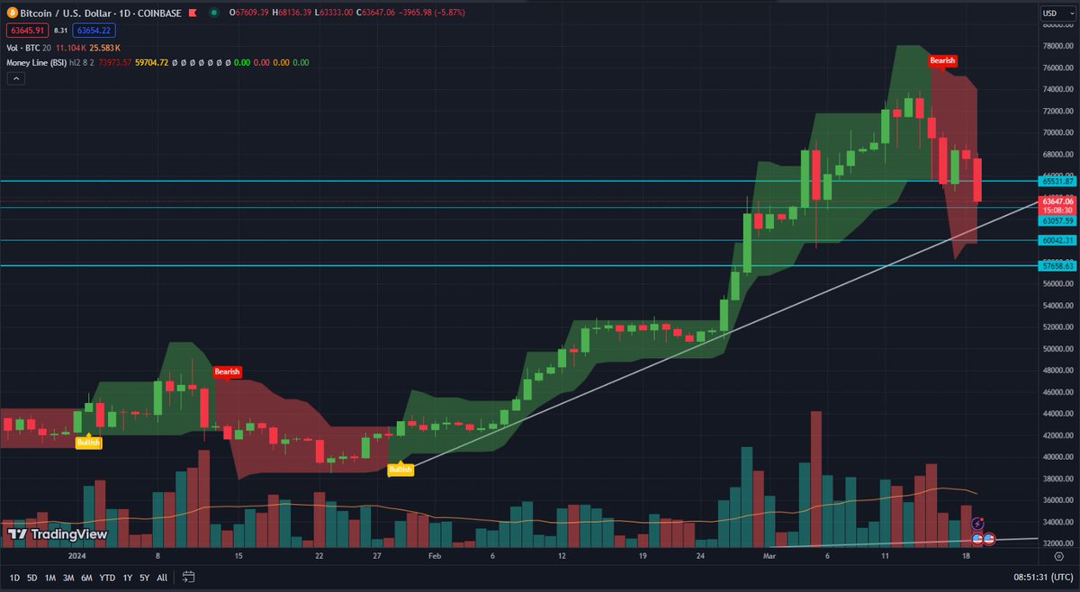 Moralis Token Explorer tweet media