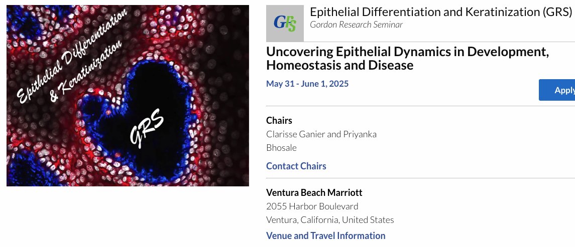 🚨save the dates 🚨 2025, May 31- June 6, Epithelial differentiation and Keratinization: GRS and GRC We're gearing up for the program, and will post once final program is ready :) @Dr_CGanier grc.org/epithelial-dif…