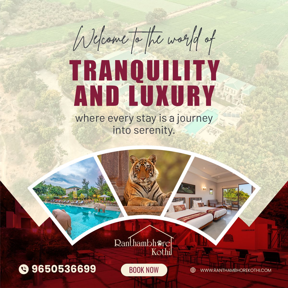 #RanthambhoreKothi #LuxuryGetaway #TranquilRetreat #SereneEscape #WildlifeLuxury #TigerEncounter #PoolsideParadise #LuxuryTravel #NatureResort #SafariExperience #RelaxationDestination #DreamVacation #LuxuryLiving #WildlifeSafari #PeacefulGetaway #RanthambhoreExperience