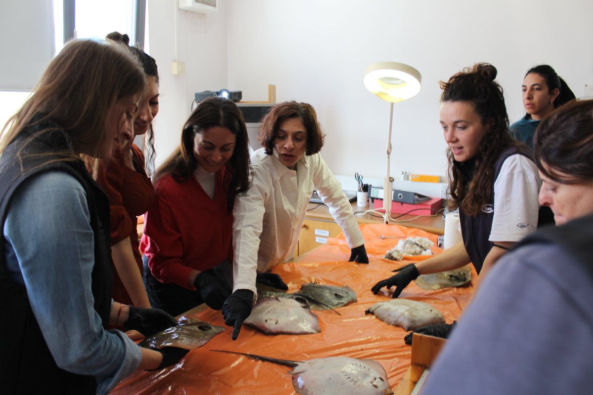 Marine and Environmental Research (MER) Lab tweet media