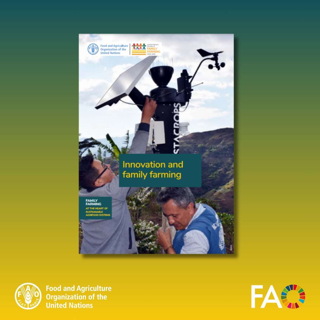 🌱 Embrace the power of innovation in #FamilyFarming! 👩‍🌾

🚜 Discover how traditional wisdom meets modern practices in a holistic approach for sustainable food systems in this new publication by @FAO 

📚fao.org/3/cc9824en/cc9…

#AgInnovation #UNDFF #AgriculturaFamiliar