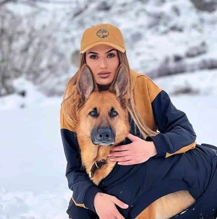Germanheaven99's tweet photo. Adorable 🥰
#GermanShepherd #GSDE https://t.co/Bl8ECHtGul