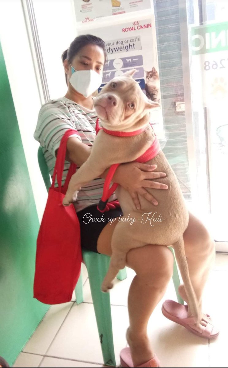sisacrizzy's tweet photo. #justiceforKillua 
#stopanimalcruelty https://t.co/9SYwYyMGht