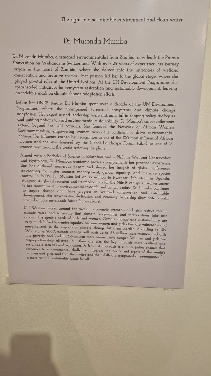 djkkml's tweet photo. Yesterday I had the pleasure of attending the opening of the @iwasbornagir1 art exhibition. Each of the pieces of extraordinary women are beautiful. The highlight was seeing the piece on Dr @MumbaMusondam
#female #environmentalist  #cleanwater https://t.co/aILWBcqz9A