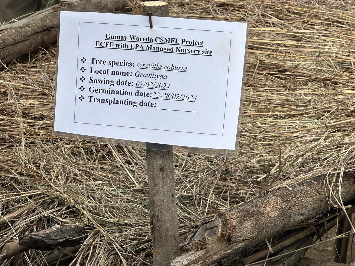 oakdanny's tweet photo. @SweinEthiopia with @GGGIEthiopia is carrying out the Year1 review of the Conservation & Sustainable Forested Landscape project in Oromia and Southwestern Ethiopia with partners @IDE_Global and #ECFF Ethiopia with several exciting #results to showcase https://t.co/1aXT86I52p