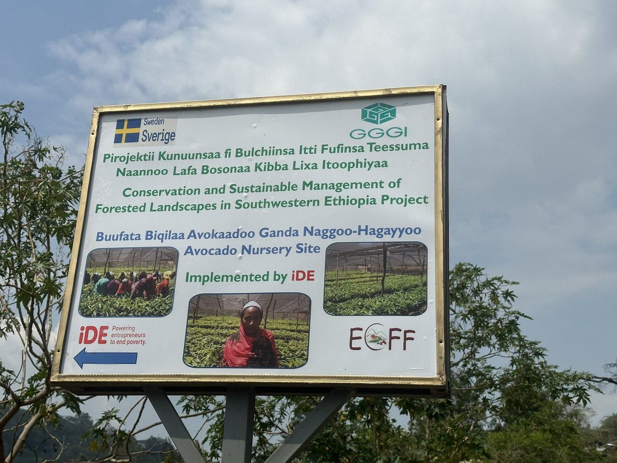 oakdanny's tweet photo. @SweinEthiopia with @GGGIEthiopia is carrying out the Year1 review of the Conservation & Sustainable Forested Landscape project in Oromia and Southwestern Ethiopia with partners @IDE_Global and #ECFF Ethiopia with several exciting #results to showcase https://t.co/1aXT86I52p
