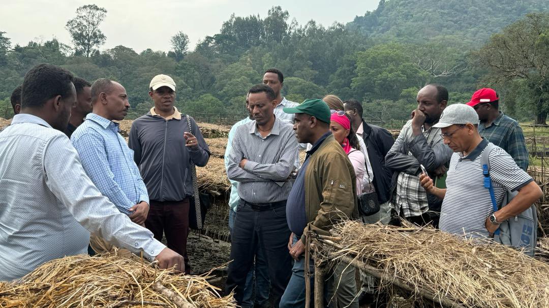 oakdanny's tweet photo. @SweinEthiopia with @GGGIEthiopia is carrying out the Year1 review of the Conservation & Sustainable Forested Landscape project in Oromia and Southwestern Ethiopia with partners @IDE_Global and #ECFF Ethiopia with several exciting #results to showcase https://t.co/1aXT86I52p