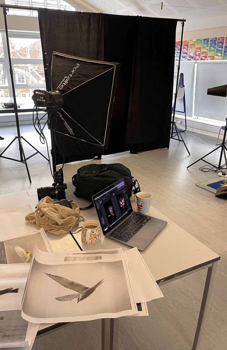 An exciting project is in the works at the Mulberry!