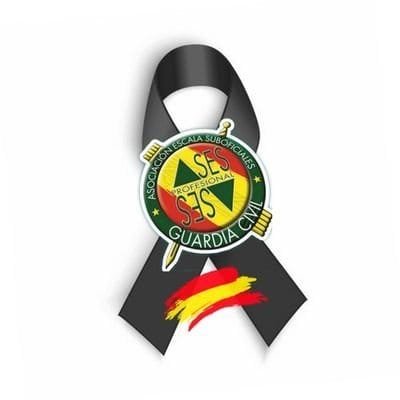 ASESGC's tweet photo. Nuestro más sentido pésame a las familias, compañeros y amigos de las seis personas fallecidas en el siniestro vial en Los Palacios #Sevilla, dos de  ellas agentes de @guardiacivil

Descansen en paz.

Deseamos una pronta recuperación de los compañeros heridos en el mismo suceso. https://t.co/BIiJbMZ6ZE